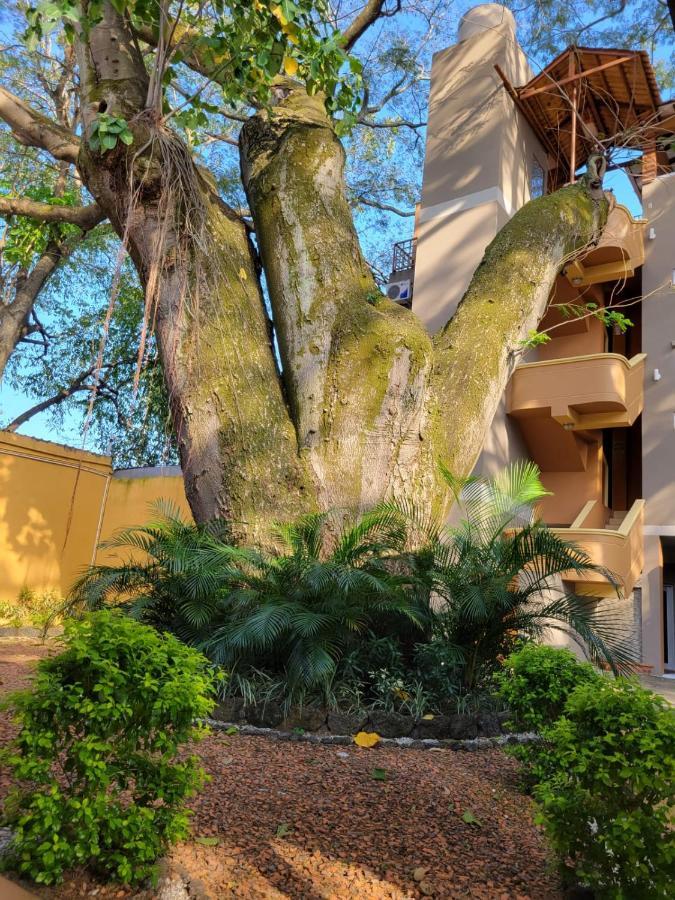 Real Guanacaste Aparthotel San Pedro Sula Exterior foto